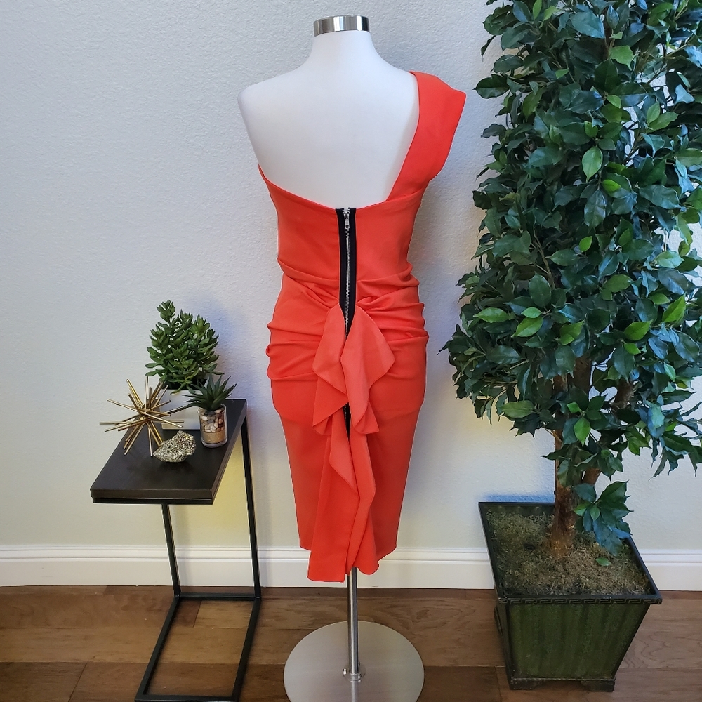 NWT Ruffled One-Shoulder Dress - Picture 5 of 8